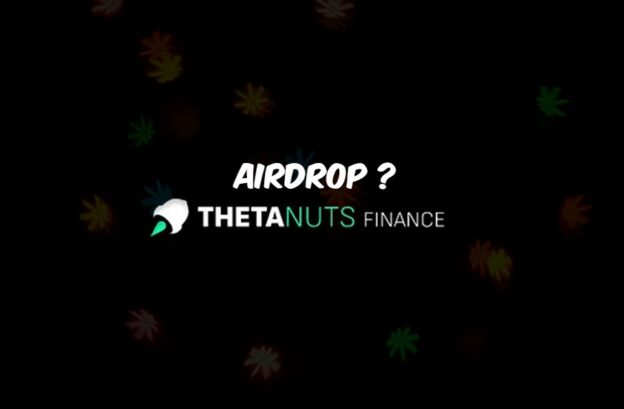 Thetanuts Finance: Un Potentiel Airdrop en Vue?